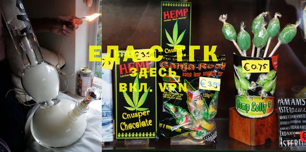 хмурый Алзамай